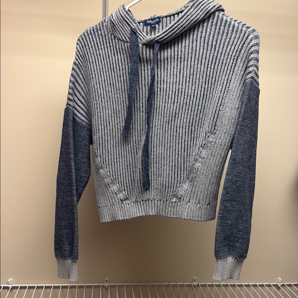 Splendid Gray and Blue Cropped Hoodie Sweatshirt